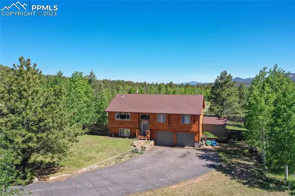 Woodland Park, CO 80863,1150 Michael LN