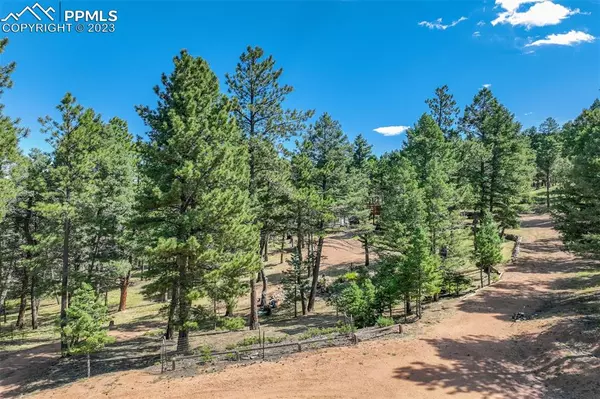 Florissant, CO 80816,18 Garden CIR