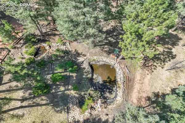 Florissant, CO 80816,18 Garden CIR