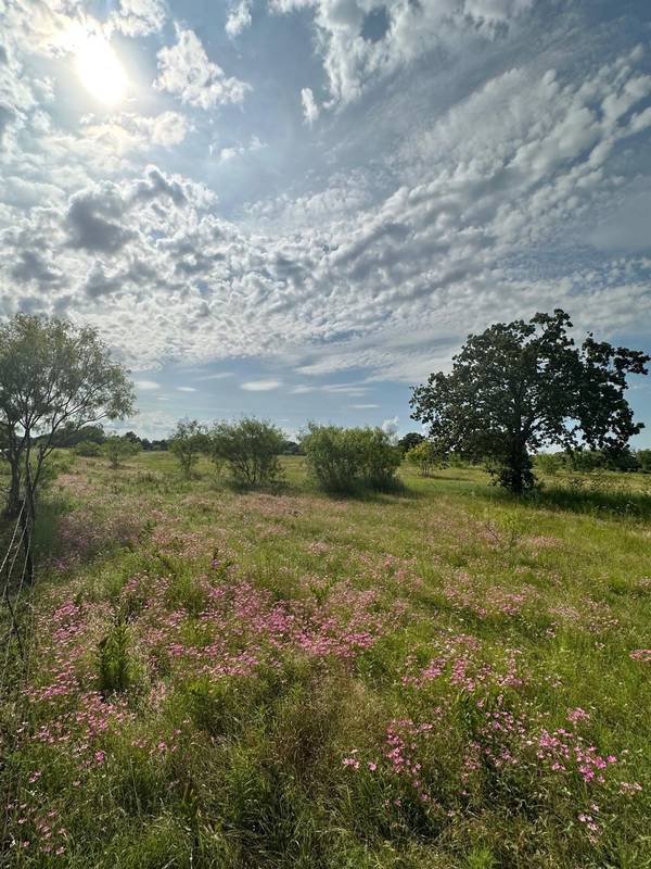 TBD Lot 13 Jess Hinton Road, Kemp, TX 75143