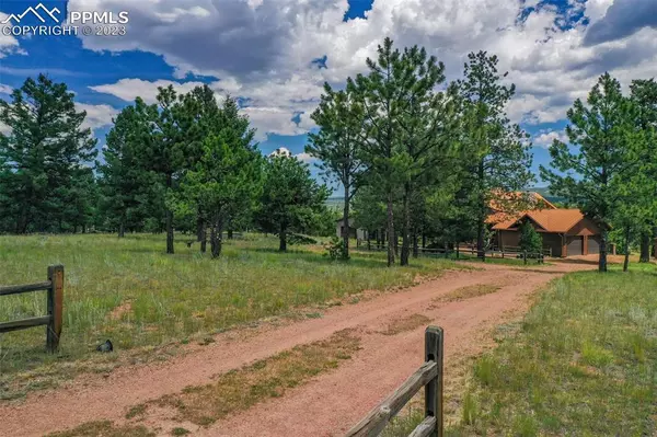 Florissant, CO 80816,260 Black Mesa CIR