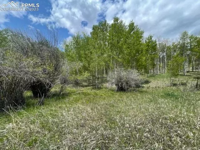 Lake George, CO 80827,7 Mohawk PATH