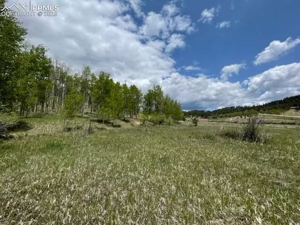 Lake George, CO 80827,7 Mohawk PATH