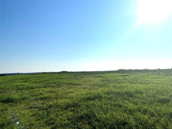 TBD Lot 20, Poolville, TX 76487