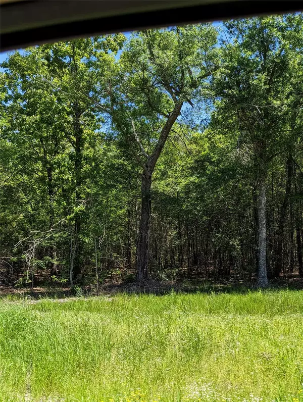 Avery, TX 75554,Lot 2 County Road 4310