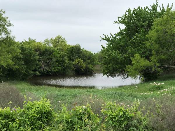 T.B.D. COUNTY RD 1102, Rio Vista, TX 76093