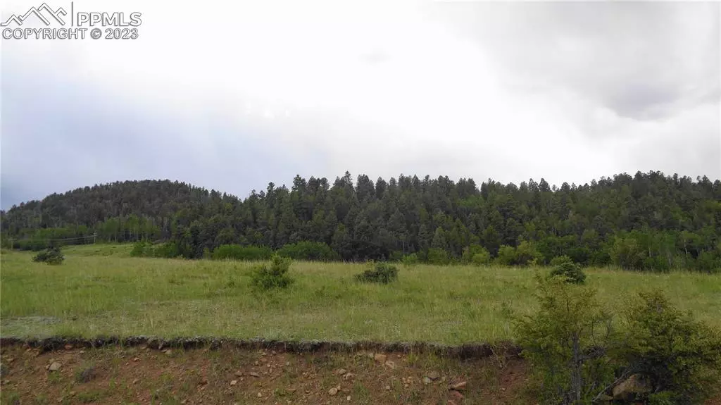 524 Monarch DR, Cripple Creek, CO 80813