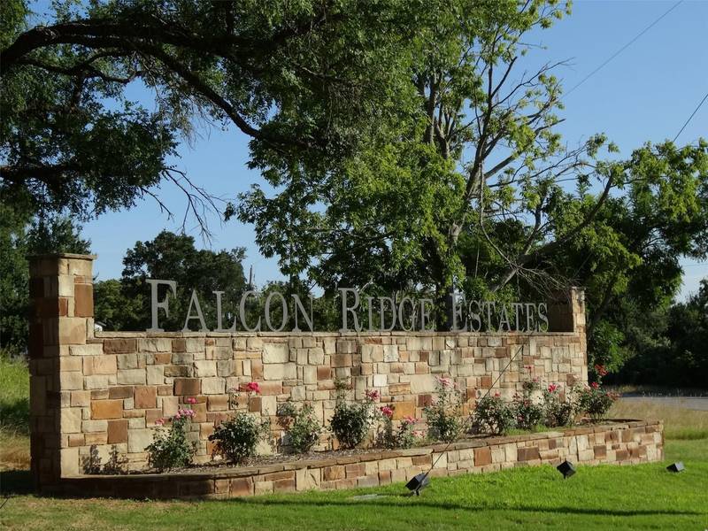 Lot 12 Falcon Drive, Glen Rose, TX 76043