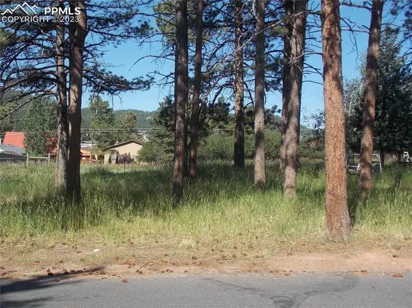 L7B2 Fairview ST, Woodland Park, CO 80863
