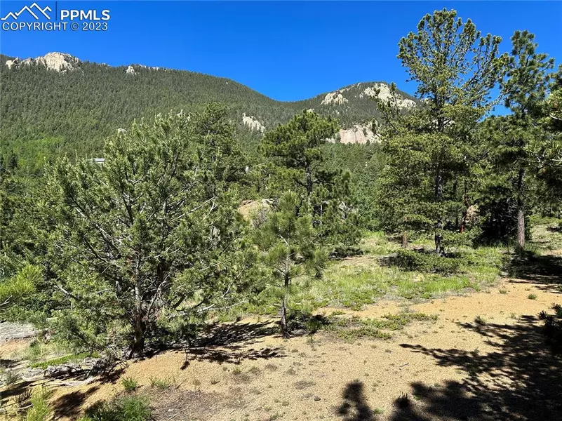 235 Waterfall RD, Manitou Springs, CO 80829