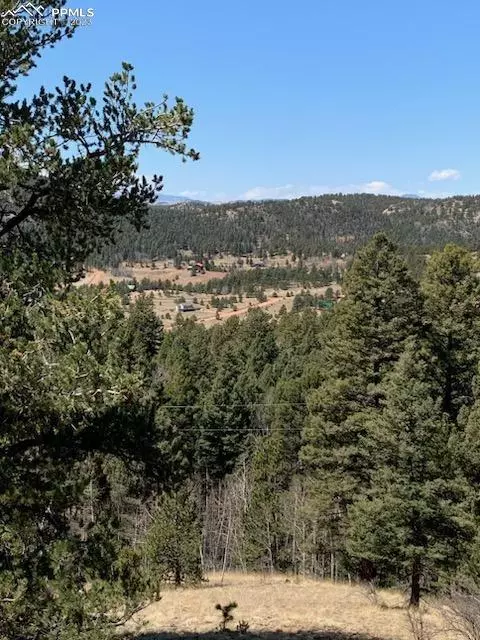 Cripple Creek, CO 80813,783 Bennett DR