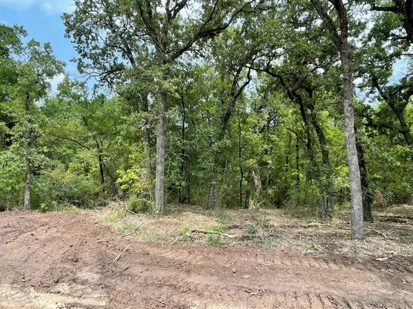 Weatherford, TX 76087,Lot 27 Roy Coffee Court