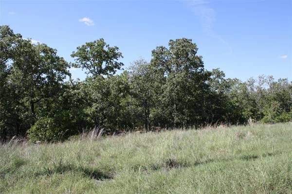 TBD Twin Lakes Court, Bowie, TX 76230