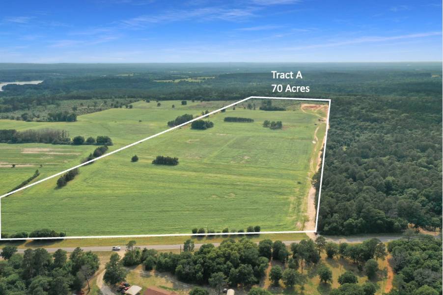 TBD FM 2869 #Tract A, Winnsboro, TX 75494