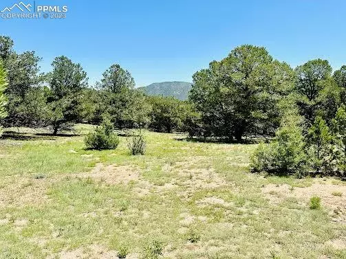 445 Sioux CIR, Canon City, CO 81212