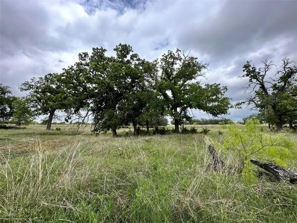 TBD County Road 250, Goldthwaite, TX 76844