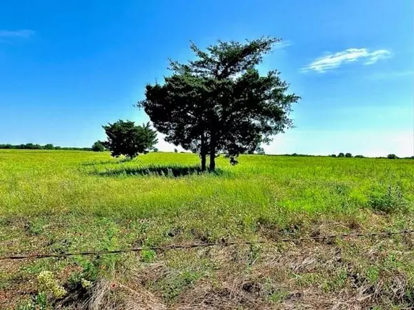 Honey Grove, TX 75446,LOT 1 County Road 26720