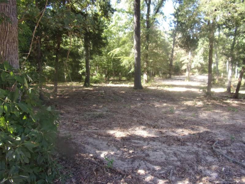 tbd Dogwood Trail, Murchison, TX 75778