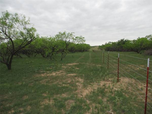 Tr 3 Big Sandy, Bowie, TX 76230