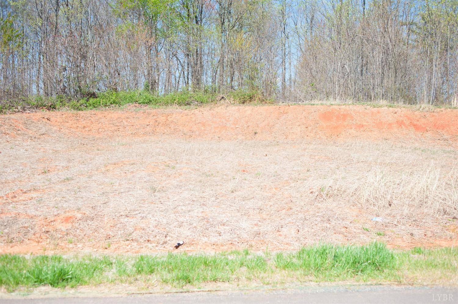 18 Patrick Court #Lot, Madison Heights, VA 24572