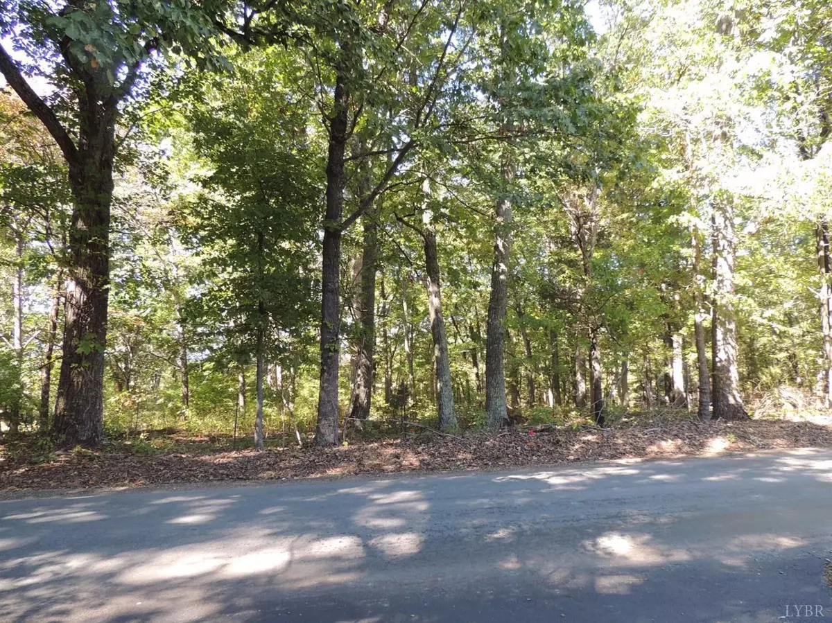 Forest, VA 24551,0 Everett RD #Lot 3