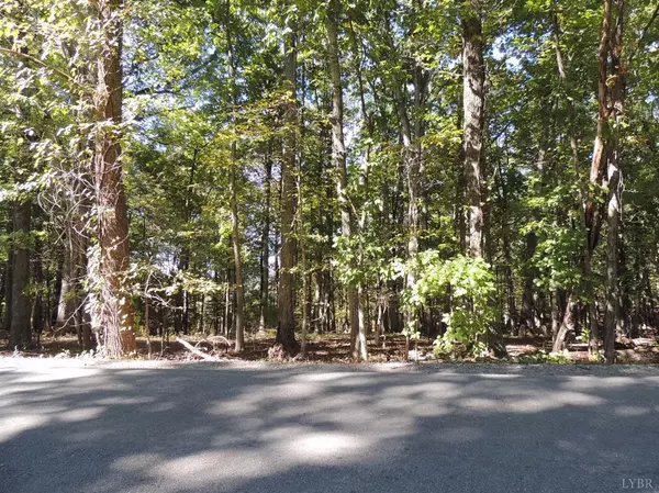 Forest, VA 24551,0 Everett RD #Lot 3