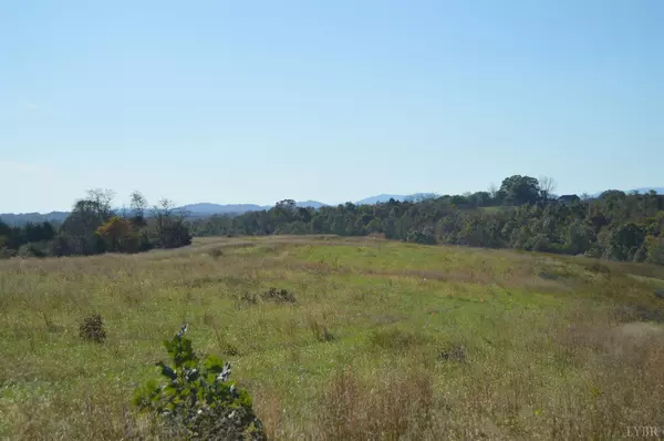 Goode, VA 24556,0 Goode Station RD #Lot 9