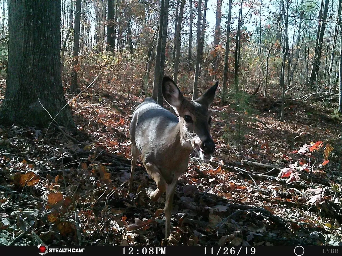 Volens, VA 24577,0 Table Rock LN