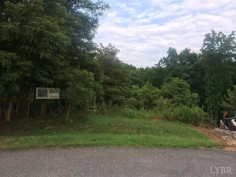 Forest, VA 24551,0 Lakepointe DR #Lot 53