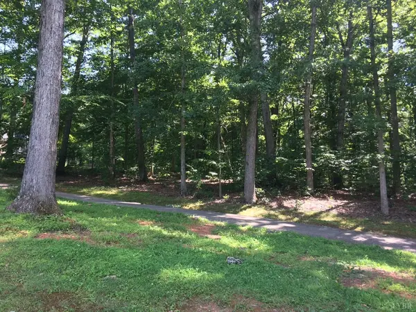 0 Golf Course TRL #Lot 107, Amherst, VA 24521
