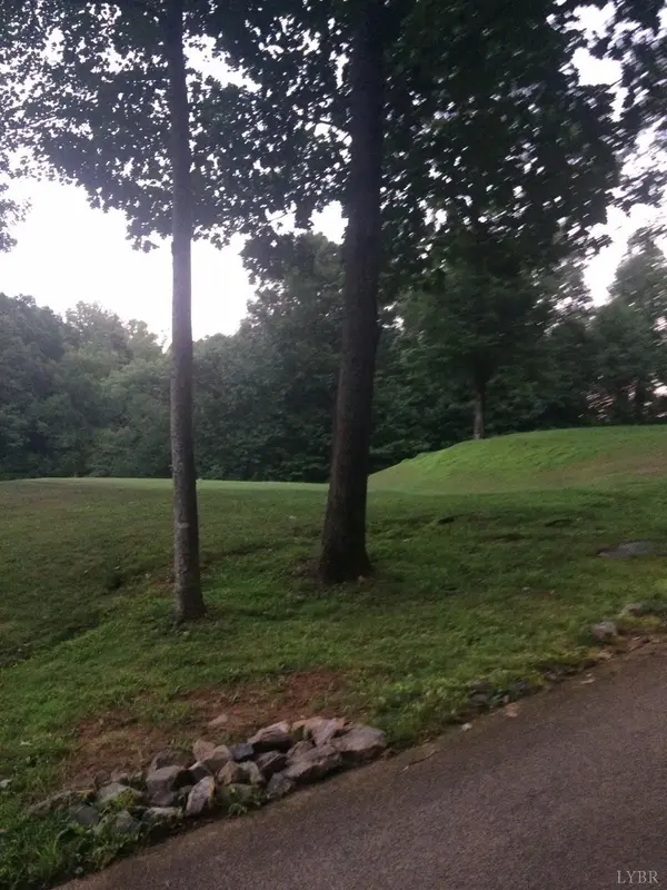 0 Golf Course TRL #Lot 107, Amherst, VA 24521