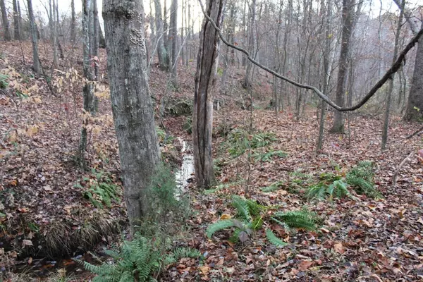 Volens, VA 24577,0 Table Rock LN