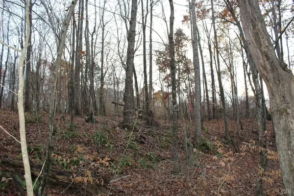 Volens, VA 24577,0 Table Rock LN