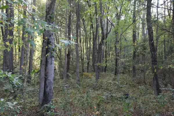 Volens, VA 24577,0 Table Rock LN