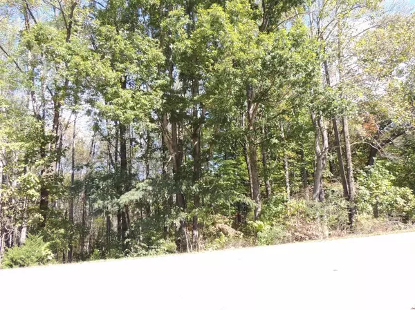 Forest, VA 24551,0 Gladden CIR #Lot 7