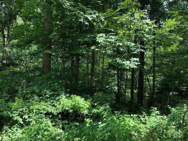 122 Adams DR, Lynchburg, VA 12502