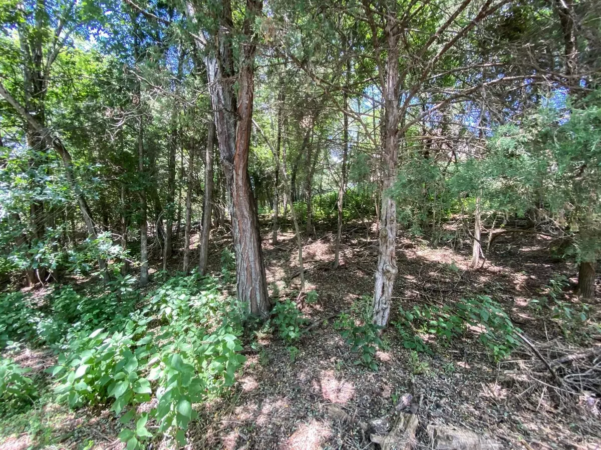 Forest, VA 24551,0 Eastwind DR #Lot 44