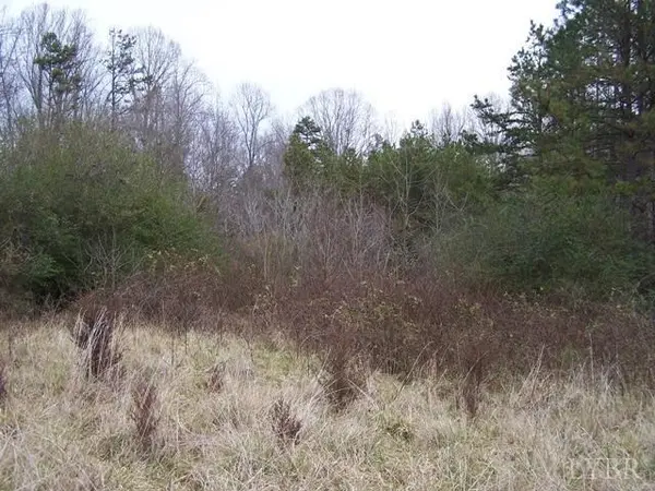 Gladys, VA 24554,1428 Railview