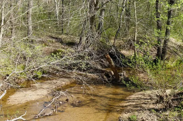 Nathalie, VA 24577,0 Sandy Ridge RD