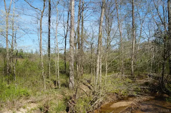 Nathalie, VA 24577,0 Sandy Ridge RD