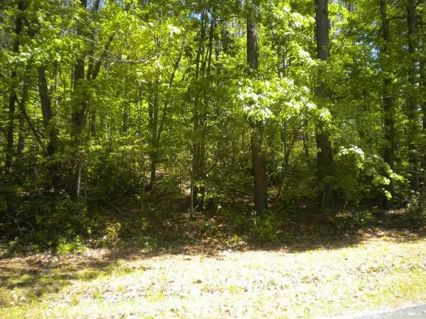 Shipman, VA 22971,0 Brownings Cove