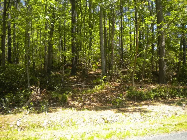 Shipman, VA 22971,0 Brownings Cove