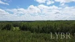 0 Dungee RD, Prospect, VA 23960