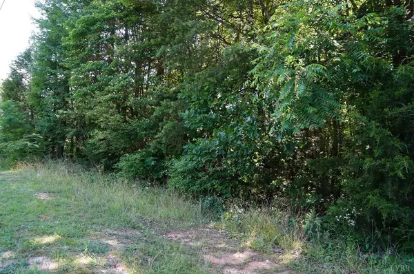 0 L P Bailey Memorial HWY, Nathalie, VA 24577