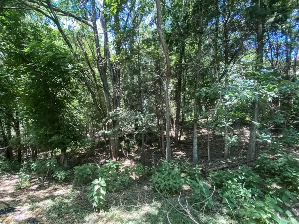 Forest, VA 24551,0 Eastwind DR #Lot 44