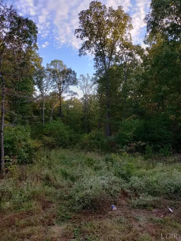 0 Marysville Road, Gladys, VA 24554