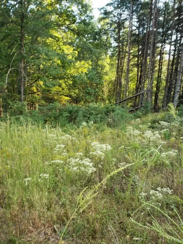 Gladys, VA 24554,0 Marysville Road