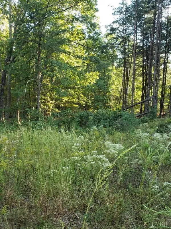 Gladys, VA 24554,0 Marysville Road