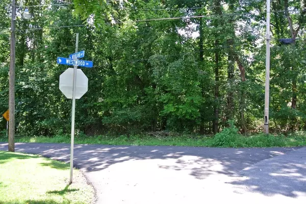 Altavista, VA 24517,0 Westwood Drive #Lots 2-3