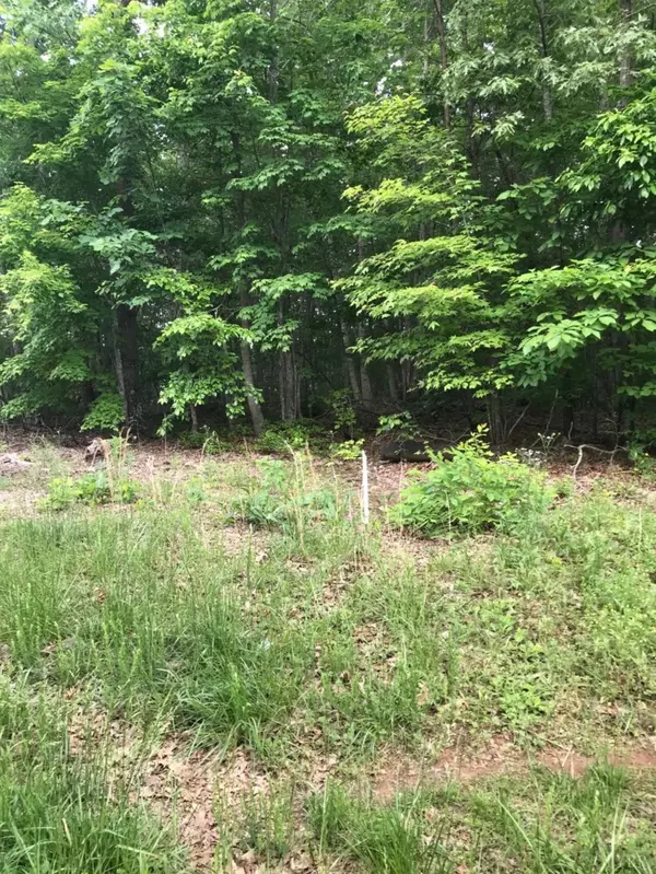 Gladys, VA 24554,231 Swan Creek RD